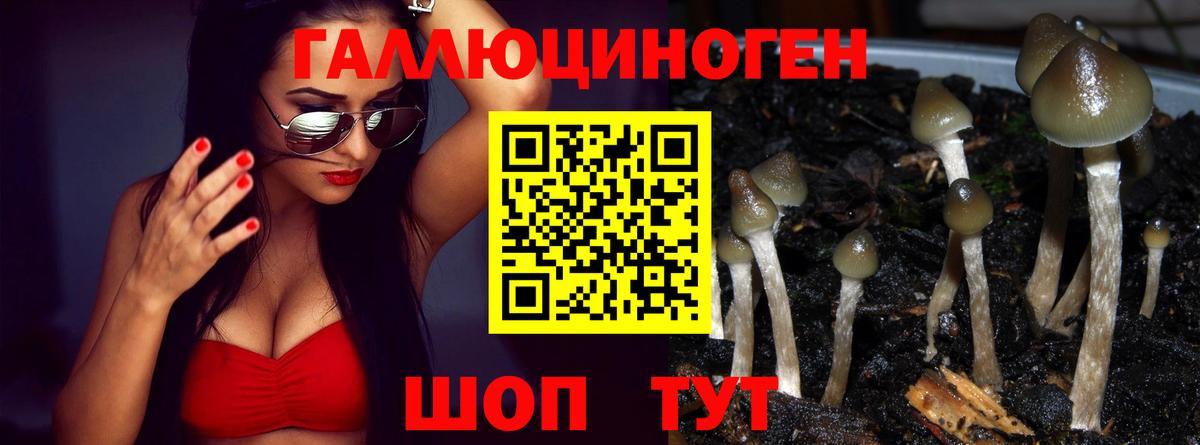 Псилоцибиновые грибы Psilocybine cubensis  Галлюциногенные грибы Magic Shrooms  Вход с VPN  Великий Устюг 