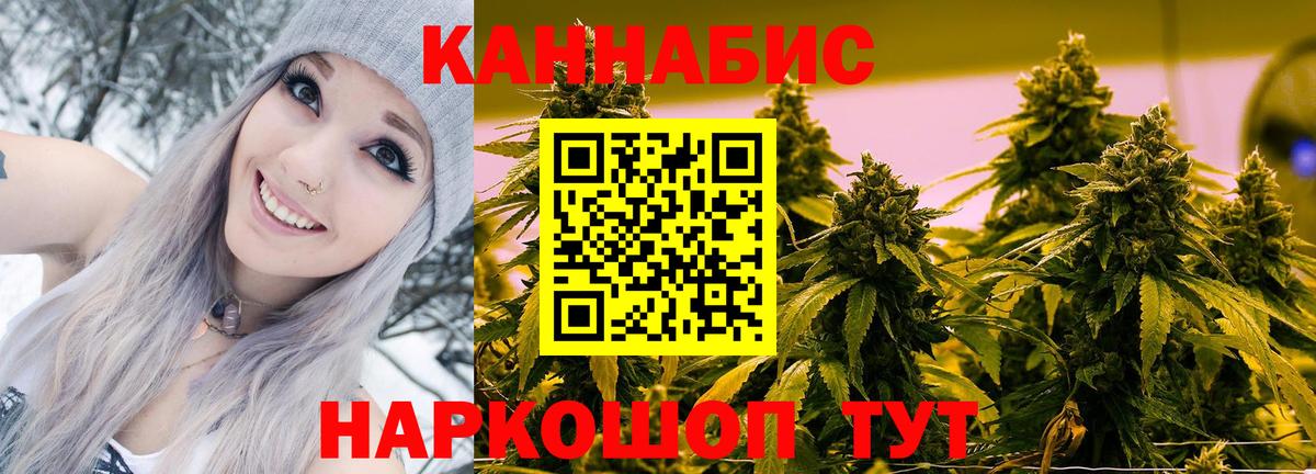 Бошки Шишки планчик  Вход с VPN  Бошки марихуана OG Kush  Шишки марихуана THC 21%  Бошки Шишки THC 21%  Великий Устюг 